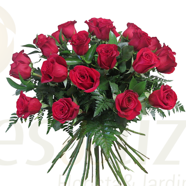 Image de Bouquet de 24 Roses Rouges