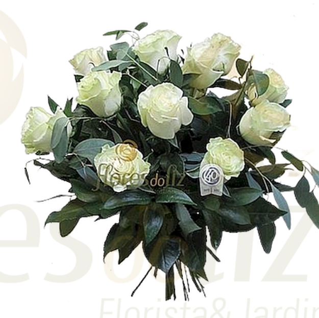 Picture of 12 White Roses - Valentine's Day