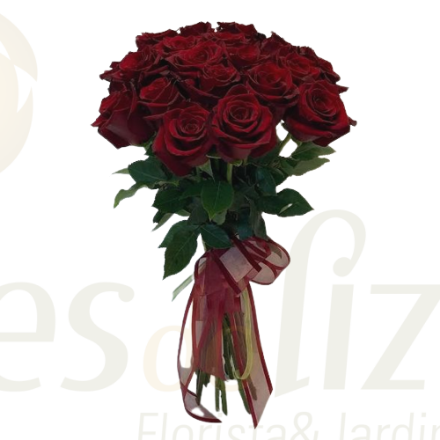 Imagem de 20 Rosas Vermelhas
